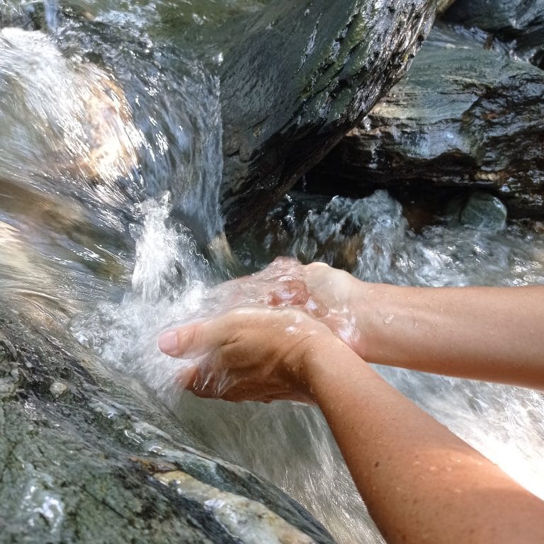 Cycles d'évolution personnelle